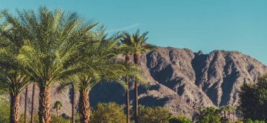 California Coachella Valley Landscape with Palms and Mountains. clipart