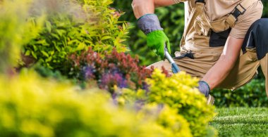 Caucasian Man Working Inside a Garden. Spring Time Backyard Plants Maintenance.