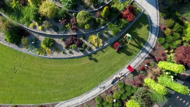 Backyard Lawn Aeration Using Gasoline Aerator Machine Aerial View — Stok video
