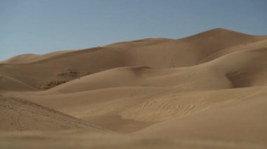 Great Sand Dunes Ulusal Parkı Colorado, Amerika Birleşik Devletleri. Yaz Güneşli Günü.