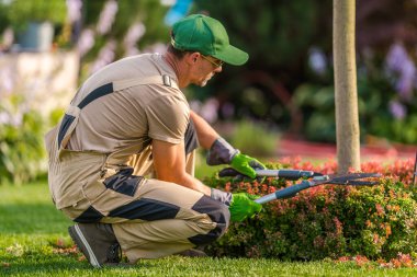 Closeup of Professional Caucasian Gardener Trimming the Flowering Plant with Garden Scissors Gardening Tool.