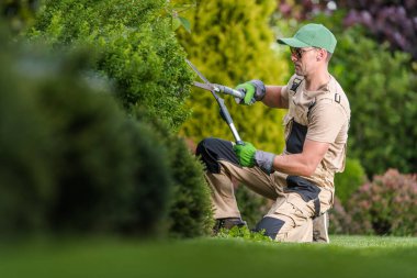 Side View Closeup of Caucasian Gardener Kneeling on One Knee While Trimming Plants. Professional Garden Maintenance Theme.