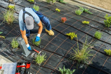 Top View of Gardening Professional Installing Drip Irrigation System in Freshly Landscaped Garden for Proper Water Supply.