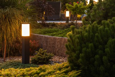 Back Yard Garden Landscape Illumination Using Outdoor LED Lighting. Garden and Architecture Lighting Technologies.