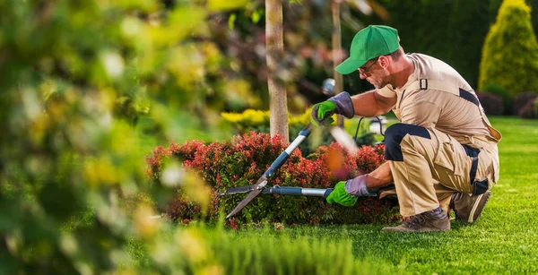 Caucasian Garden Landscaping Services Contractor His 40S Hedge Shears Performing — Stock Photo, Image