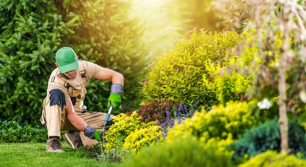 40多岁的专业园艺师负责后院花园的维修 盛开的夏日花园 — 图库照片