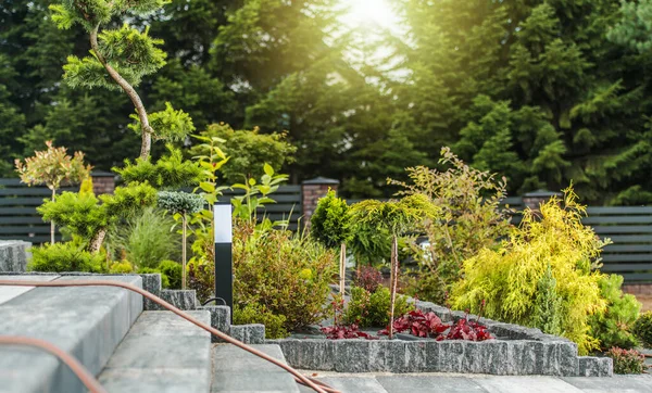 Vackert Landscaped Backyard Garden Dekorerad Med Prydnadsträd Blommor Och Buskar — Stockfoto