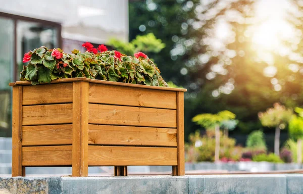 Stock image Decorative Wooden Planter Box with Blooming Red Flowers Arranged in the Residential Backyard Garden. Landscaping Design Ideas.