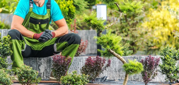 Proudly Landscaper Profesional Duduk Tengah Taman Latar Belakang Indah Setelah — Stok Foto