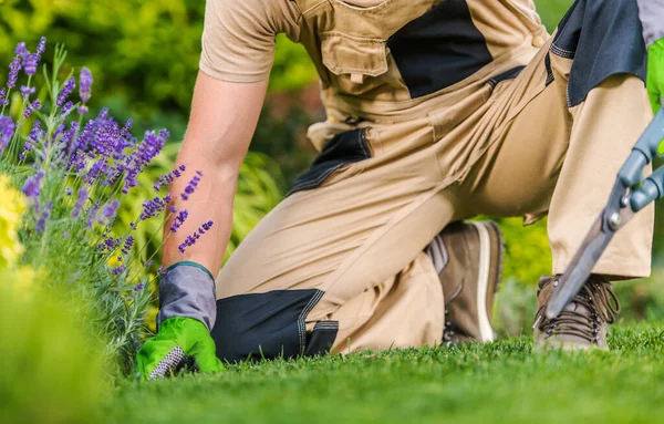 Closeup Professional Gardener Berlutut Untuk Memeriksa Kondisi Tanah Selama Garden — Stok Foto