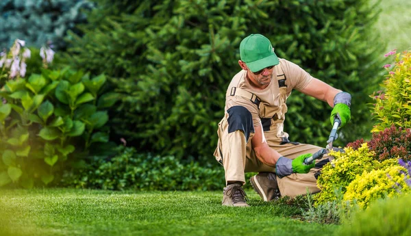Professionelle Kaukasische Landschaftsgärtner Die Saisonale Gartenpflege Durchführen Grüner Hintergrund Mit — Stockfoto