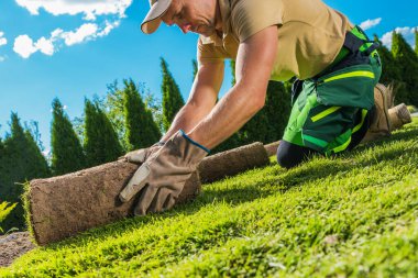 40 'lı yaşlarındaki Kafkas bahçe düzenleyicisi Residential Garden' dan Taze Doğal Çimen Turfları Kuruyor.