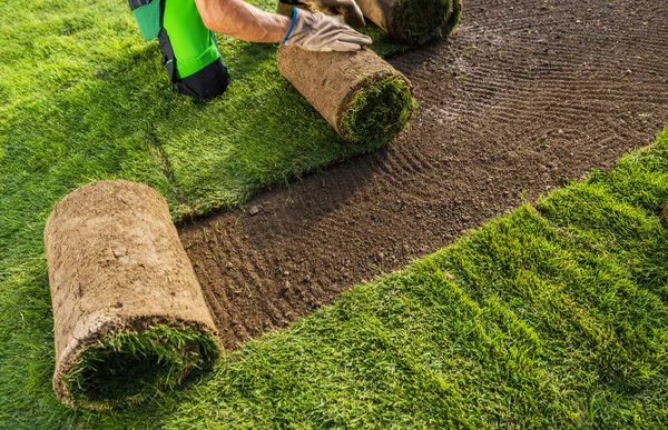 인테리어 정원의 롤에서 잔디를 설치하는 — 스톡 사진