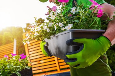 Kafkas Adam Bahçesini Düzenledi Çiçek Çiçekçilerini Yeni Yerlere Taşıdı.