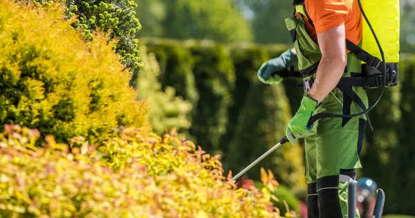 40代の白人庭師による殺虫剤を噴霧する庭の植物 園芸産業のテーマ — ストック写真