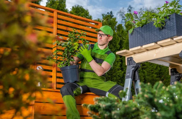 Jardinero Profesional Caucásico 40S Que Construye Nuevo Jardín Residencial Del —  Fotos de Stock