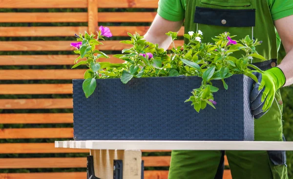 Jardinero Replantando Flores Plantador Plástico Más Grande Tema Mantenimiento Del — Foto de Stock