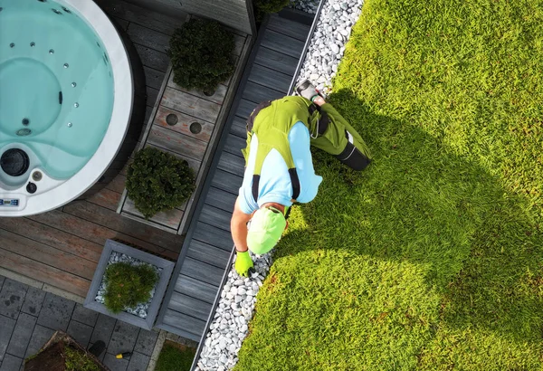 Καυκάσιος Landscaper Φινίρισμα Πράσινη Στέγη Εγκατάστασης Πολυετείς Παχύφυτες Sedum Rooftop — Φωτογραφία Αρχείου