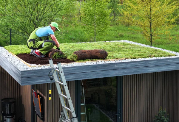 Profesionální Kavkazský Zahradník Budova Sedum Zelená Střecha Vrcholu Moderní Kůlny — Stock fotografie