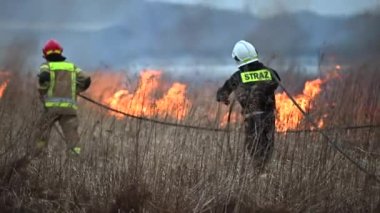 Wildland İtfaiyecileri Çayırda Vahşi Ateş 'le savaşıyor. Doğal Afeti Askıya Alma Eylemine İlk Yanıtlar.