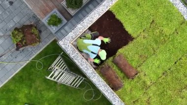 Garden Shed 'e Yeşil Sedum Çatı Kuran Profesyonel Bahçıvan' ın Hava Görüntüsü. Bahçe ve Bahçe Düzenleme Endüstrisi.