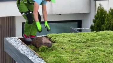 Arka bahçe bahçesinin çatısındaki profesyonel bahçıvanın Yeşil Çatı Kurulumunu Kapatıyoruz. Bahçe ve Bahçe Düzenleme Endüstrisi.