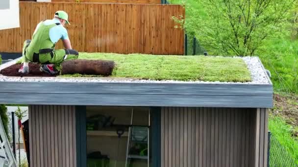 Profesionální Zahradník Který Rozkládá Obytnou Střechu Moderní Zahradní Kůlně Rezidenčním — Stock video