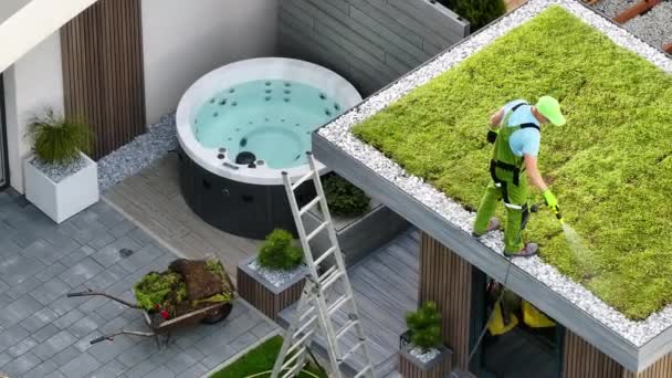 Aerial View Gardener Watering Green Roof Shed Modern Backyard Garden — Stock Video