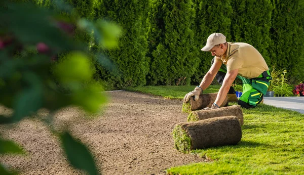 40代の白人の造園労働者は 天然芝から作られた新しい芝生をインストールします 園芸産業 — ストック写真