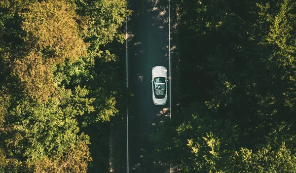 Sommer Roadtrip Cabrio Durch Malerische Wälder Angenehme Ferien Sommerfahrt — Stockfoto