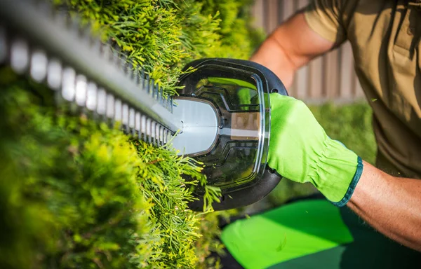園芸機器のテーマ 庭師の手で強力なコードレス電気ヘッジトリマー 木を刈る — ストック写真