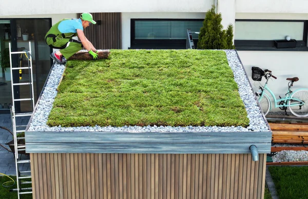 Professionelle Kaukasische Landschaftsgärtner Beenden Sedum Grüne Dachinstallation Auf Einem Modernen — Stockfoto