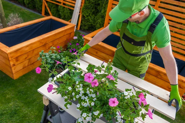 プロの庭師は 装飾的な花のための装飾的なプランターを構築します 庭と造園のテーマ — ストック写真