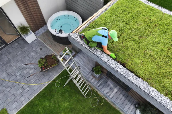 Vista Superior Telhado Verde Profissional Edifício Jardineiro Jardim Moderno Derramado — Fotografia de Stock