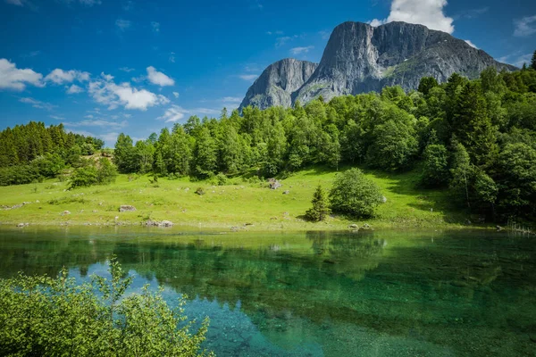 Paisagem Ensolarada Norueguesa Pitoresca Com Clear River Water Montanhas Floresta — Fotografia de Stock