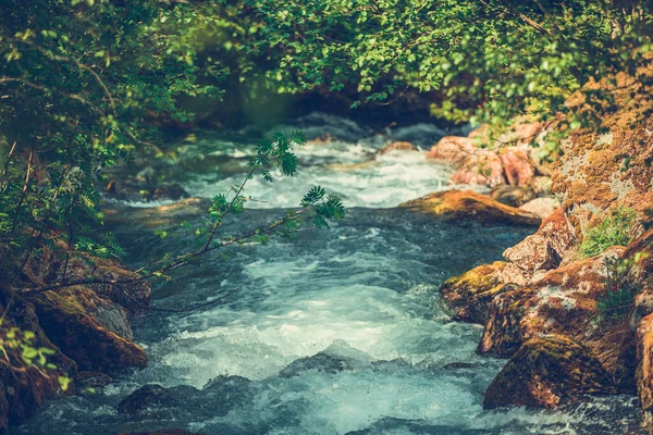 Der Malerische Rocky Mountain Stream Flacher Schärfentiefe Quelle Von Süßwasser — Stockfoto