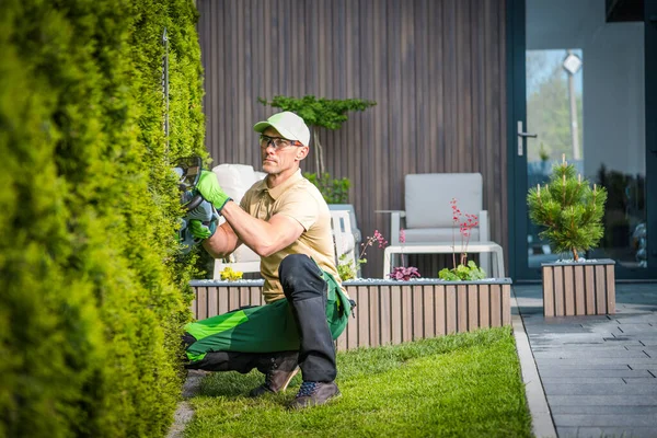 Καυκάσιος Κηπουρός Κουρεύει Τον Πράσινο Τοίχο Της Thuja Χρησιμοποιώντας Ηλεκτρικό — Φωτογραφία Αρχείου
