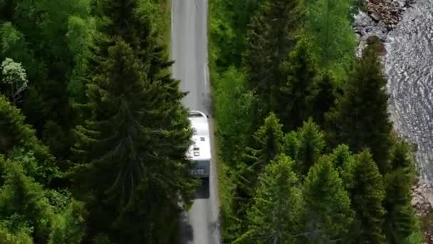 Flygfoto Över Husbil Köra Väg Genom Trädtunnel Omgiven Bergsströmmar Naturskönt — Stockvideo