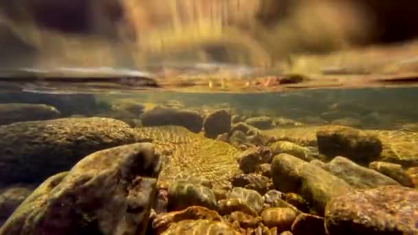 Onze Milhas Canyon South Platte River Pesca Colorado — Vídeo de Stock