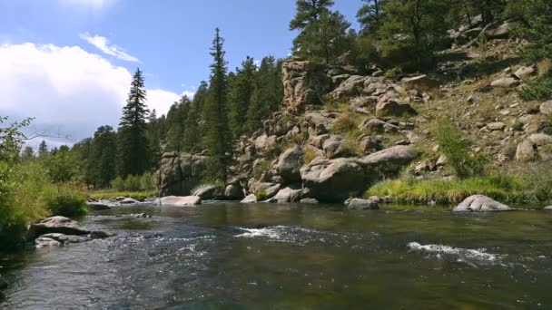 科罗拉多州11英里峡谷和南普拉特河捕鱼 — 图库视频影像