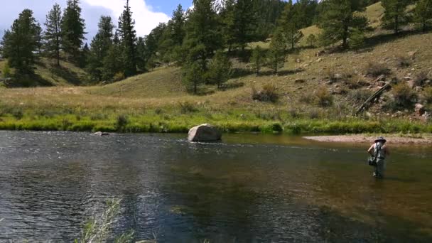 Έντεκα Μίλια Canyon Και South Platte River Ψάρεμα Στο Κολοράντο — Αρχείο Βίντεο