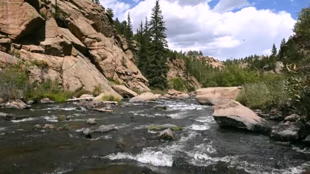 科罗拉多州11英里峡谷和南普拉特河捕鱼 — 图库视频影像