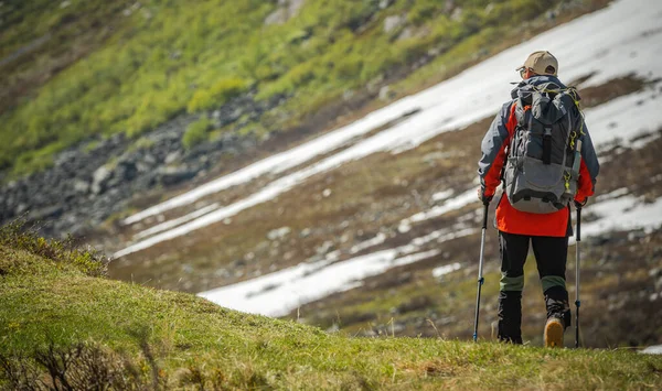 Rückansicht Von Professionell Ausgestatteten Wanderern Mit Rucksack Und Trekkingstöcken Auf — Stockfoto