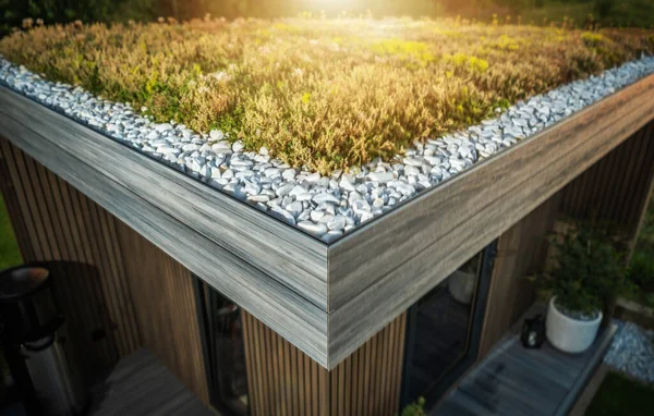 Modern Garden Shed Sedum Living Roof Corner Közelkép — Stock Fotó
