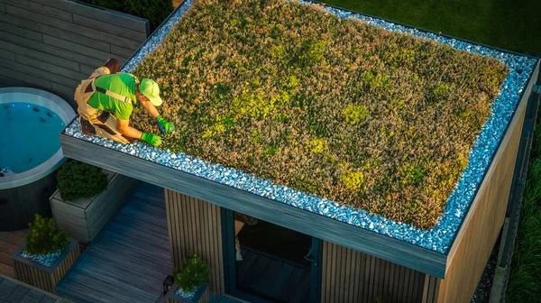 Kaukasier Kümmert Sich Ein Lebendiges Dach Grünes Sedum Dach Gartenschuppen — Stockfoto