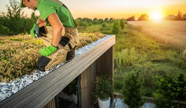 風光明媚な夏の夕日の間に成熟した生活屋根の世話をする白人庭師 — ストック写真