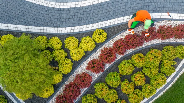 Aerial View Caucasian Gardener His Shaping Back Yard Garden Plants — Stock Photo, Image