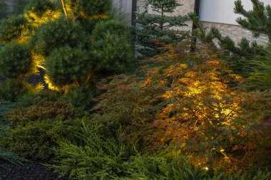 Arka Bahçe Peyzajı Modern LED Işıklandırma ile aydınlatıldı