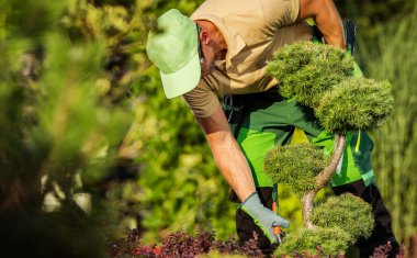 Kafkasyalı Profesyonel Bahçe İşçisi 40 'lı yaşlarında Şeklini korumak için Ağaçları budarken
