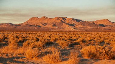 Kaliforniya Mojave Çöl Günbatımı. Amerika Birleşik Devletleri.